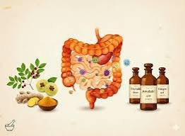 Ayu Medicine 4